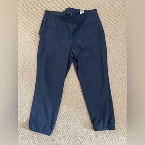 Banana republic navy pants size XL.